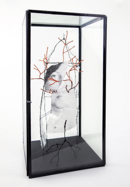 Sculpture, Transplantation 4, VAM