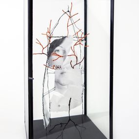 Sculpture, Transplantation 4, VAM