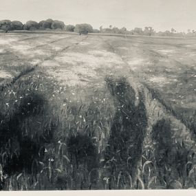 Photography, Félix VALLOTTON Paysage Les Champs, Eugène Druet