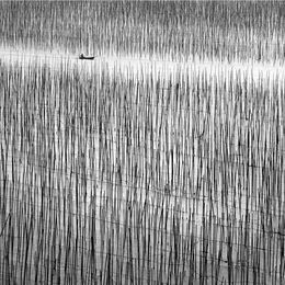 Photography, Lost in Abstraction II, China, Alexandre Manuel
