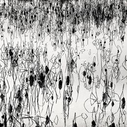 Photography, Constellation, China, Alexandre Manuel