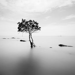 Fotografien, Thailand I, Alexandre Manuel