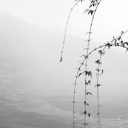 Photography, Landscape V, Vietnam, Alexandre Manuel