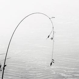 Photography, Landscape IV, Vietnam, Alexandre Manuel