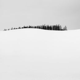 Fotografien, Body Landscape II, Alexandre Manuel