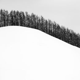 Fotografien, Body Landscape I, Alexandre Manuel