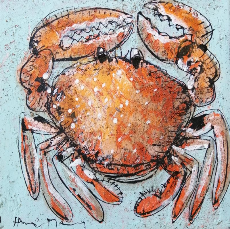 Hervé Maury, Crabe Hervé Maury, Crabe
