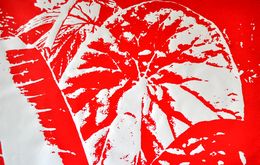 Print, Digital Gardens 1, Gergana Tabakova