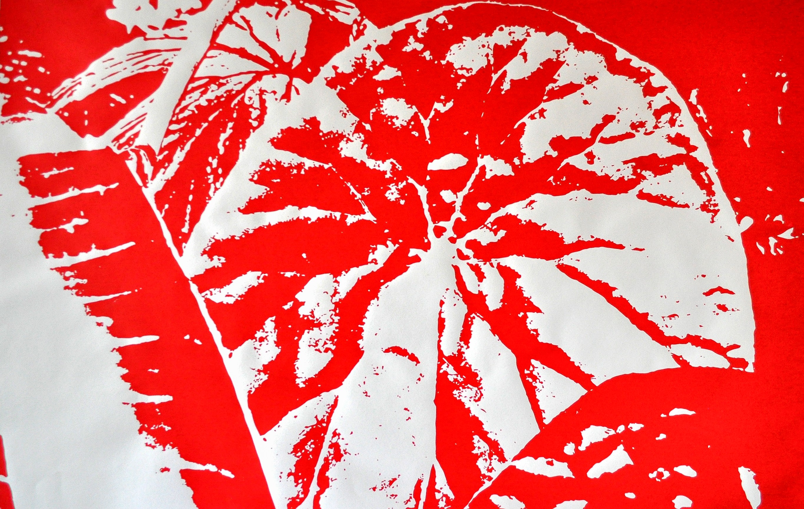 Gergana Tabakova, Digital Gardens 1 Gergana Tabakova, Digital Gardens 1