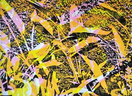 Édition, Digital Gardens 2, Gergana Tabakova