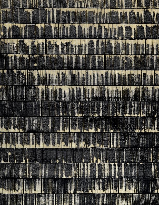 Laurent Prudot, MTP negatives monochrome noir 22.6-28 Laurent Prudot, MTP negatives monochrome noir 22.6-28
