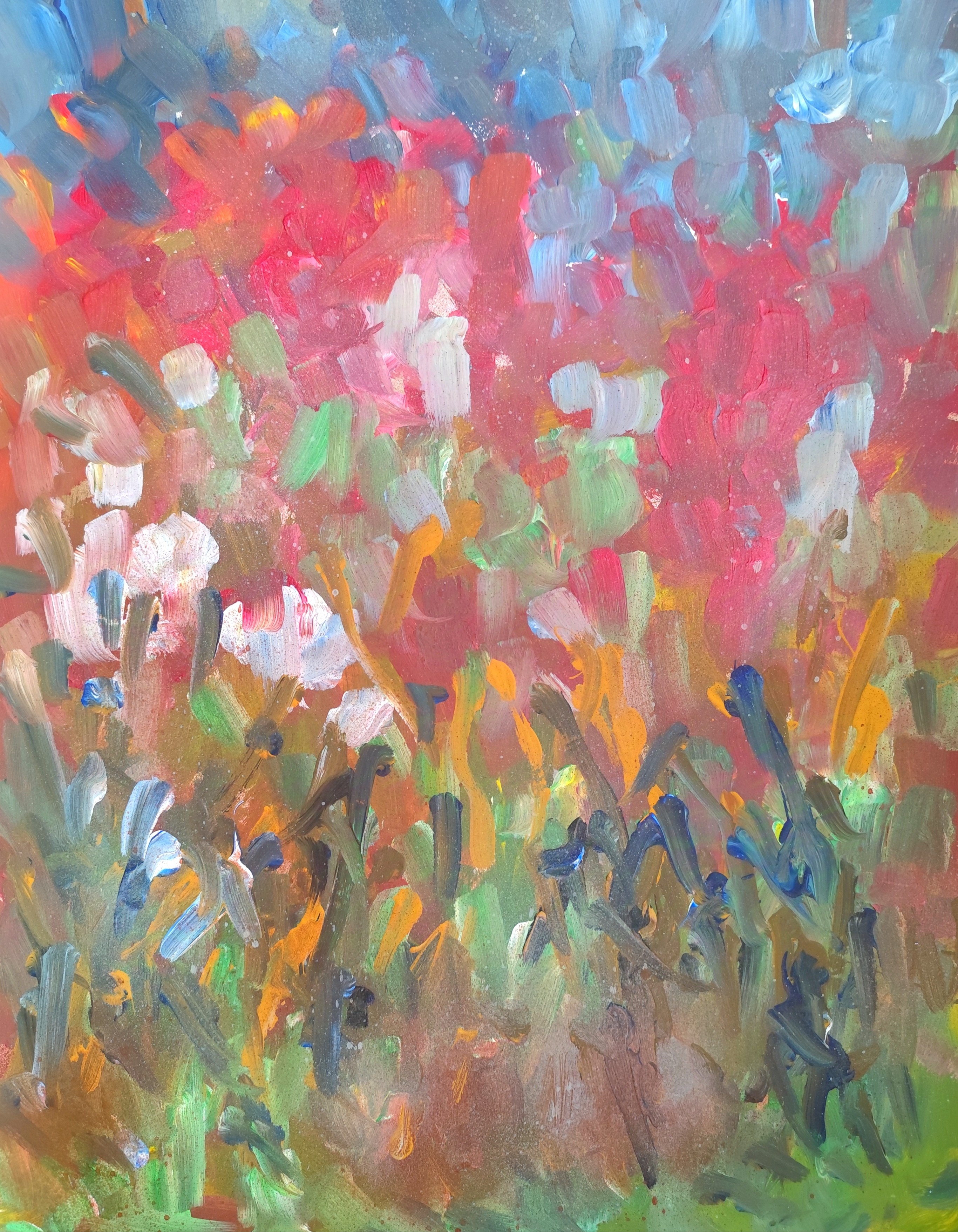 Natalya Mougenot, Floral diversity Natalya Mougenot, Floral diversity