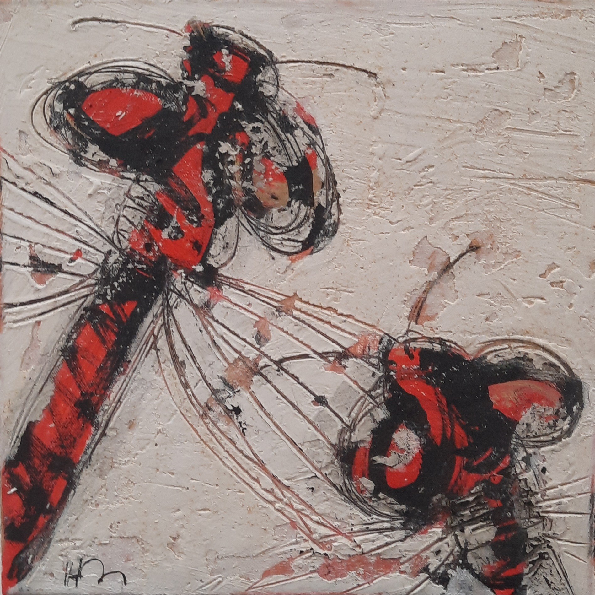 Hervé Maury, Libellules Hervé Maury, Libellules