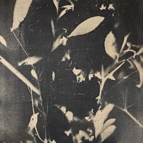 Peinture, Edera, Stefano Mazzolini