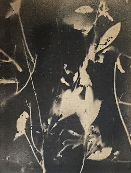 Gemälde, Trida, Stefano Mazzolini