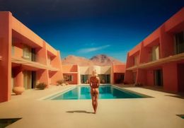 Print, Palm Legend, Rodney Haker