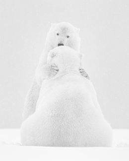 Fotografien, Le slow, Kyriakos Kaziras