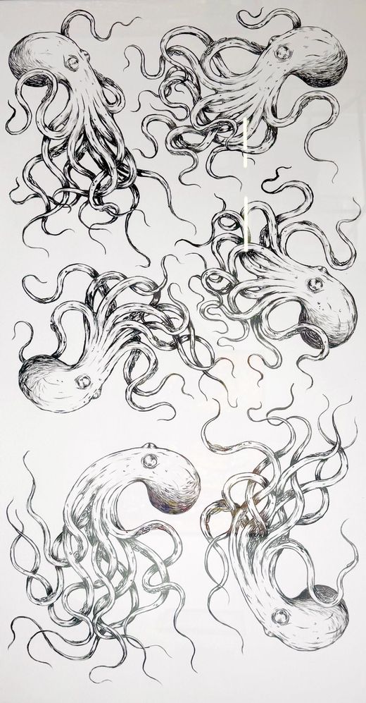 Kraken
