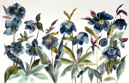 Gemälde, Hellebores No. 2, Elizabeth Becker