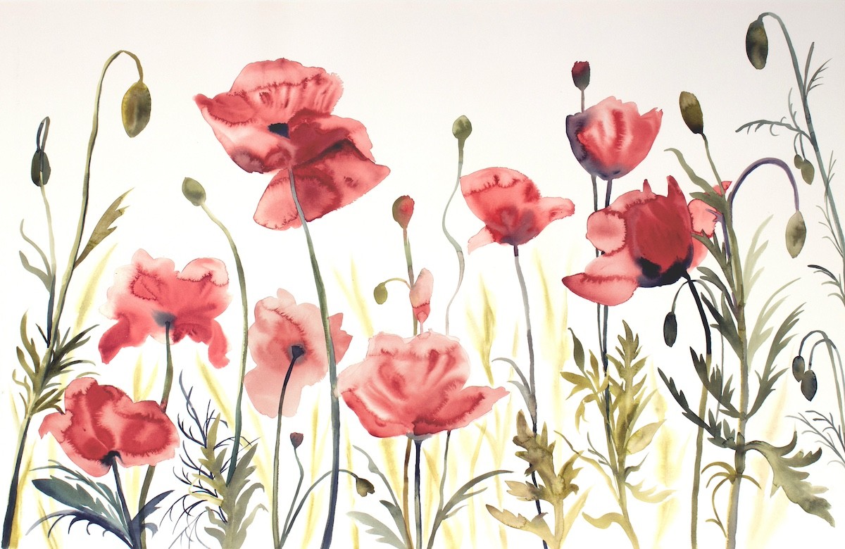 Elizabeth Becker, Poppies No. 4 Elizabeth Becker, Poppies No. 4