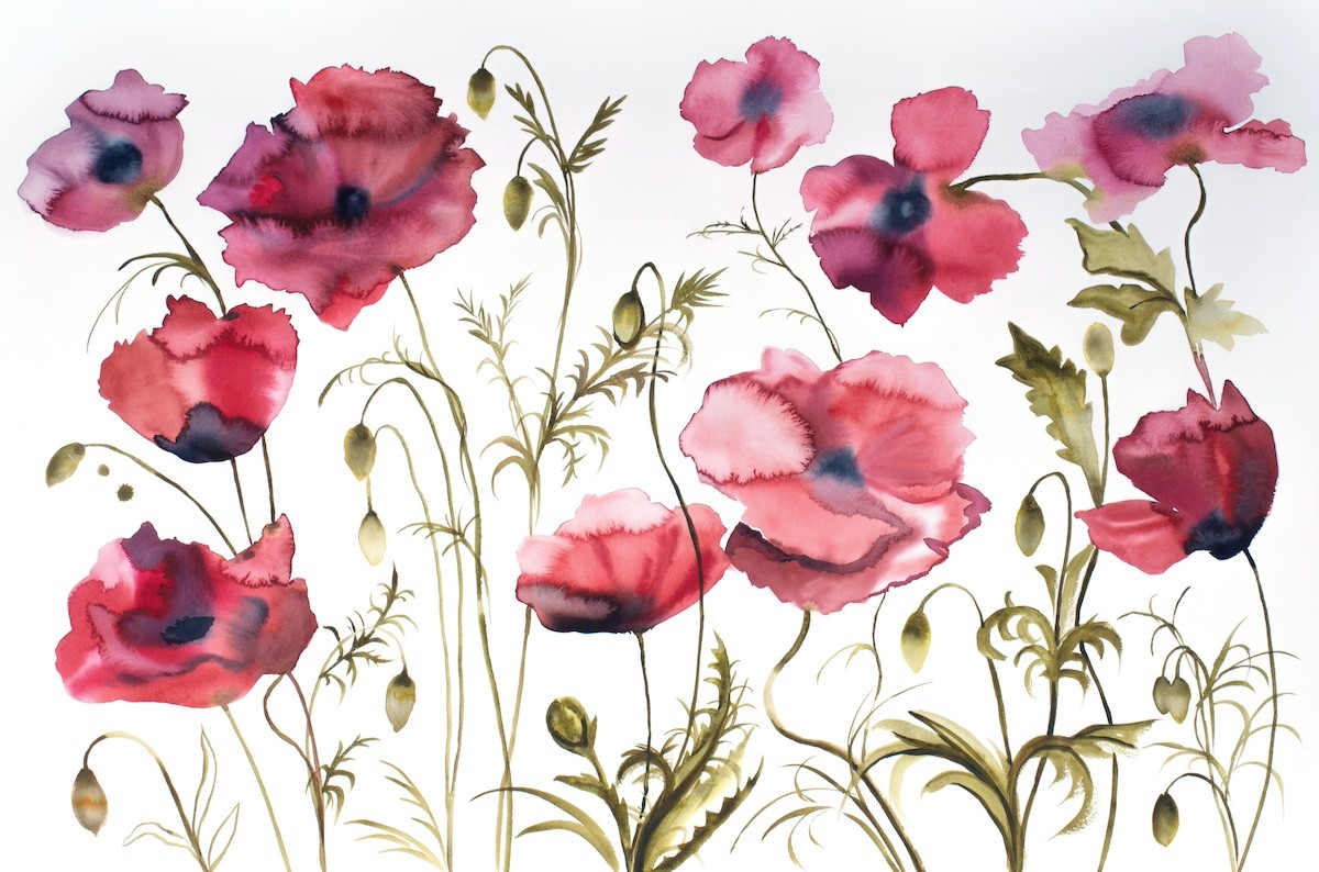 Elizabeth Becker, Poppies No. 5 Elizabeth Becker, Poppies No. 5