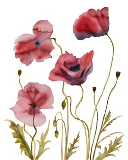 Gemälde, Poppies No. 3, Elizabeth Becker
