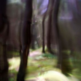 Photography, Psychedelic Forest, Mihaela Ivanova