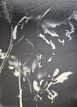 Painting, RF3334, Stefano Mazzolini
