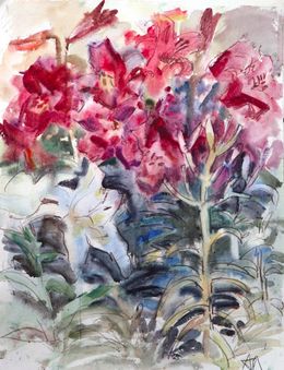 Fine Art Drawings, Lilies, Anna Lageda