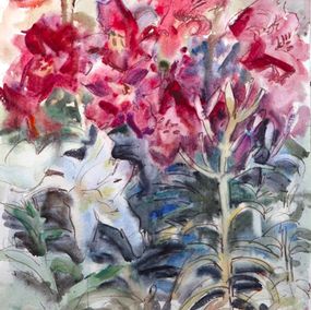 Zeichnungen, Lilies, Anna Lageda