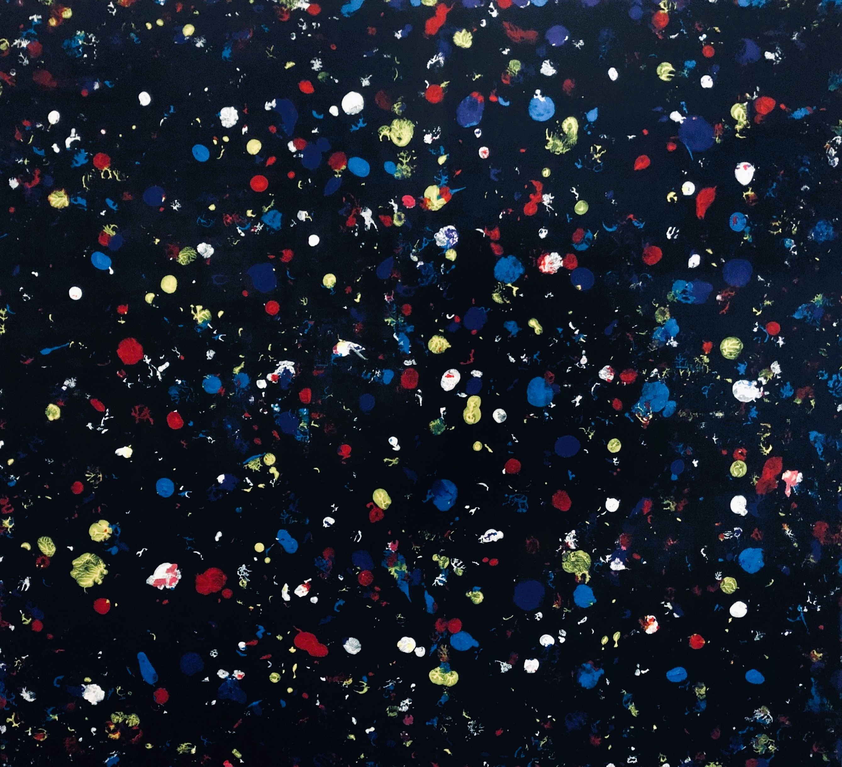 Saho art, Black amarant Saho art, Black amarant