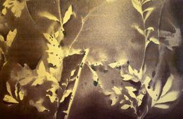 Painting, RF20, Stefano Mazzolini