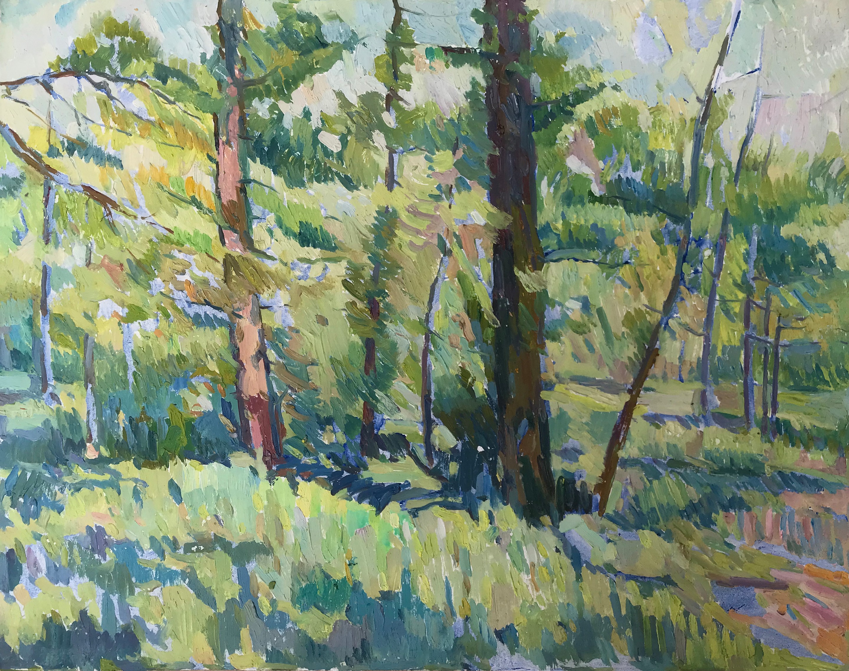 Peter Tovpev, Coniferous forest Peter Tovpev, Coniferous forest