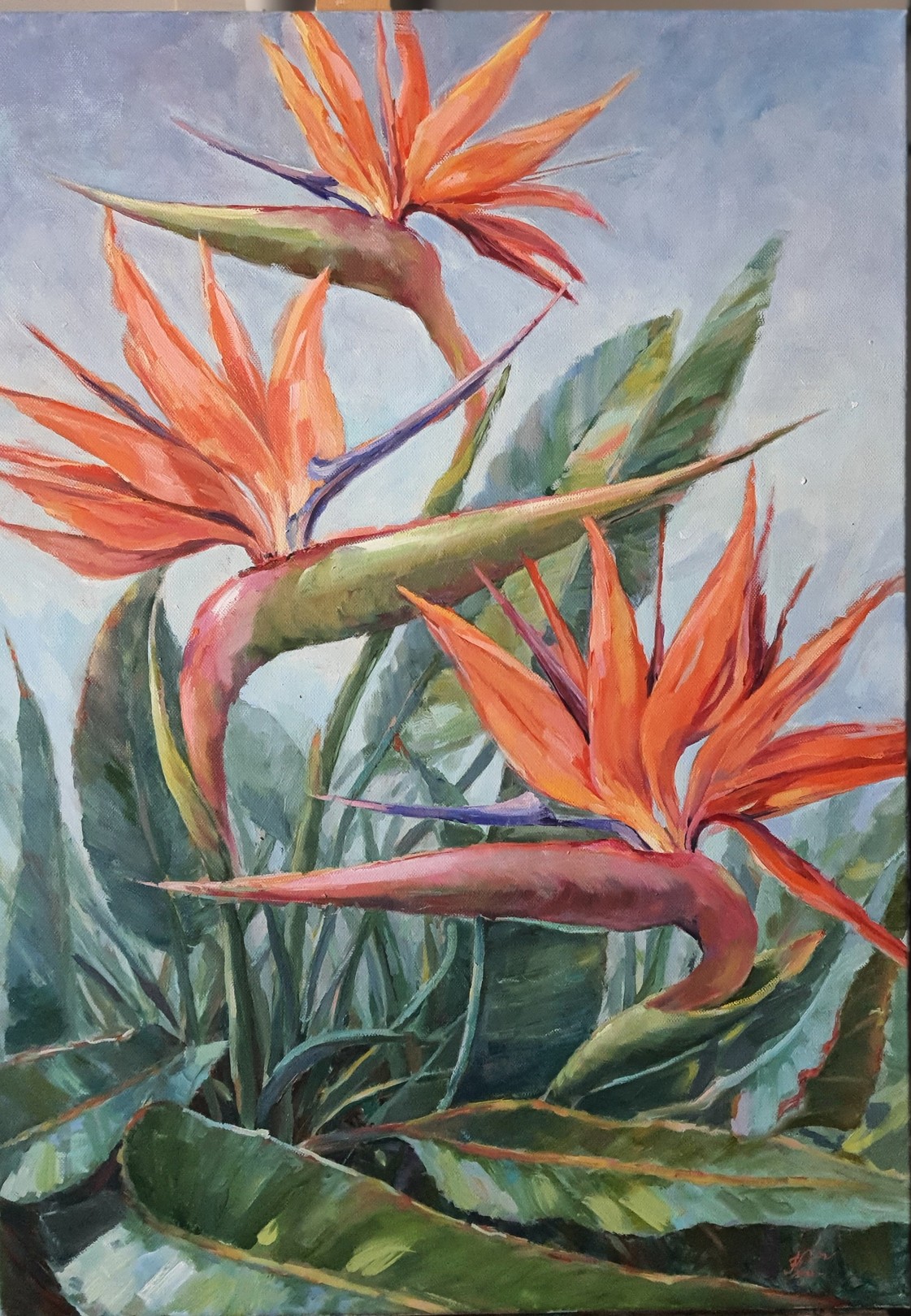 Tatiana Kyriakidou, Birds of Paradise Tatiana Kyriakidou, Birds of Paradise