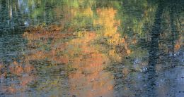 Fotografien, Couleurs d'eau, Michael Dessein