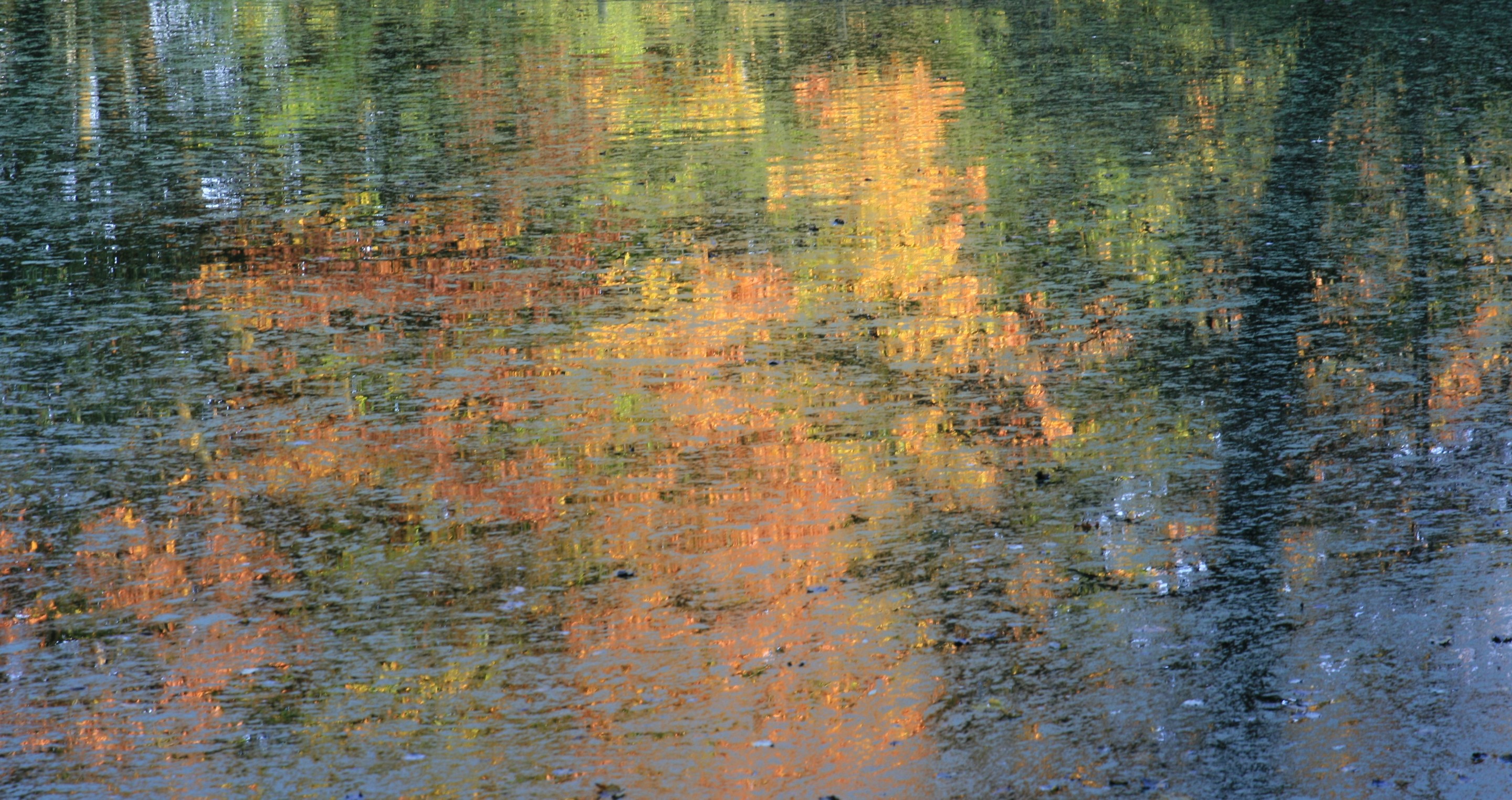 Michael Dessein, Couleurs d'eau Michael Dessein, Couleurs d'eau