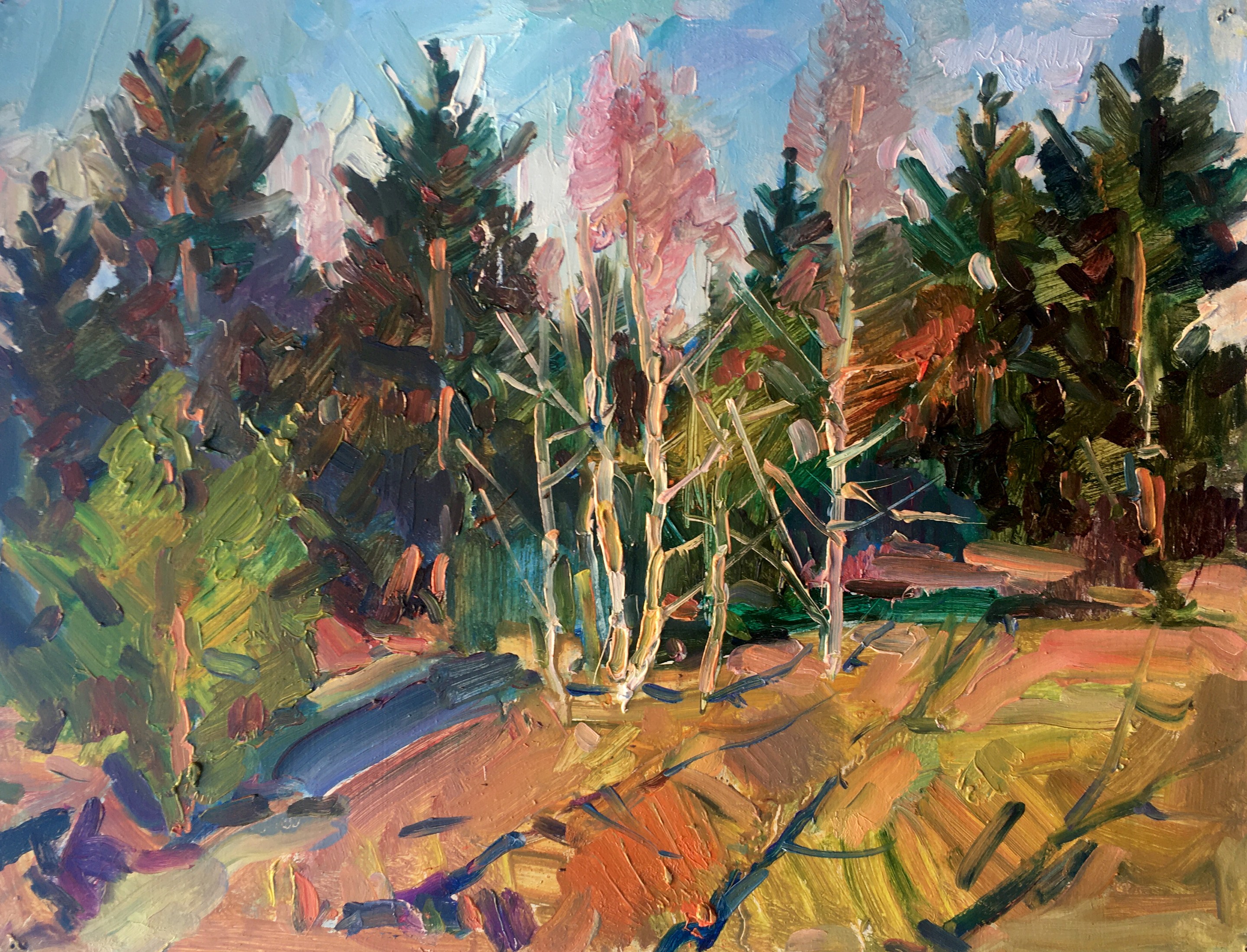Peter Tovpev, Forest landscape Peter Tovpev, Forest landscape