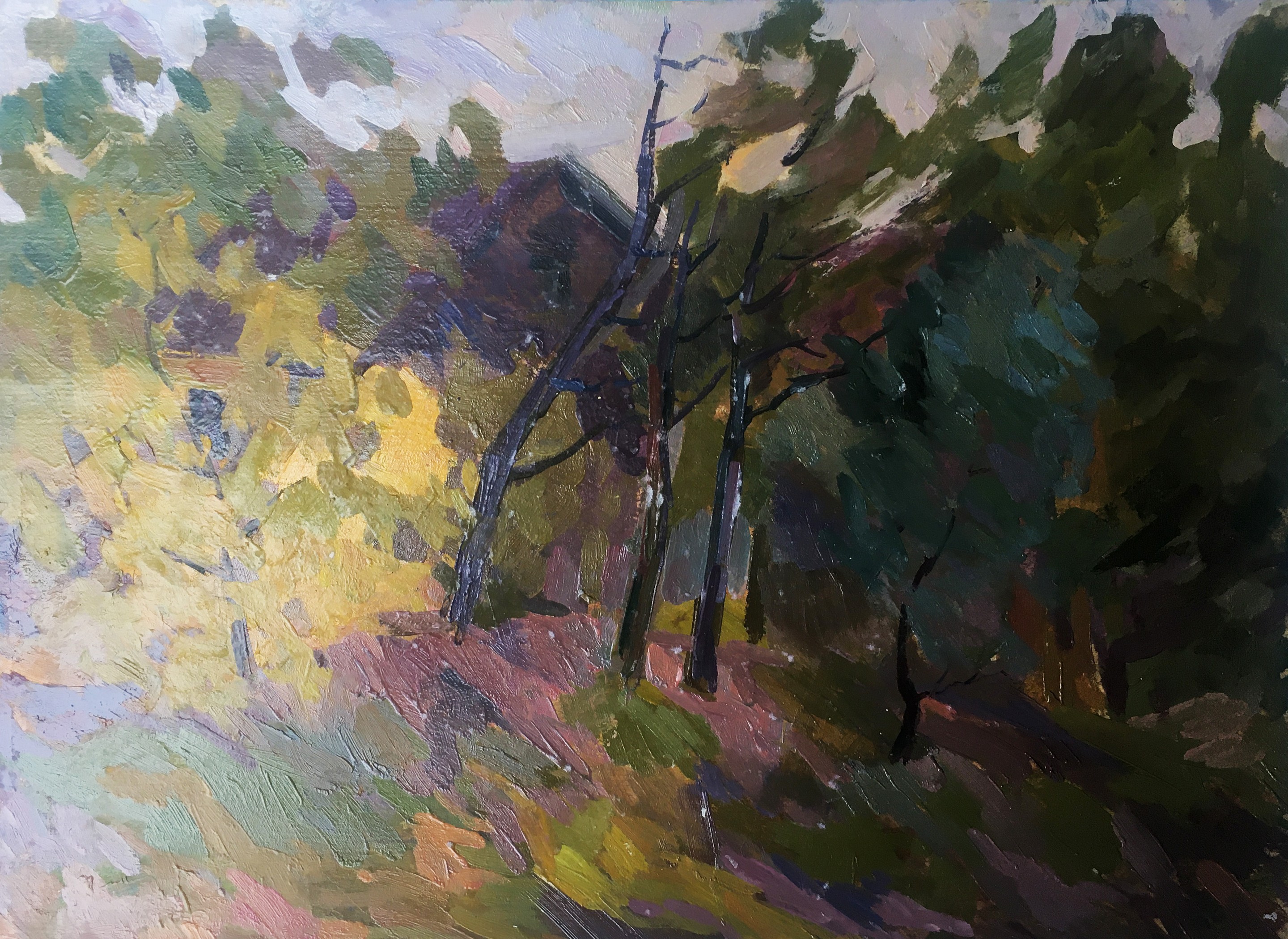 Peter Tovpev, It's starting to rain Peter Tovpev, It's starting to rain
