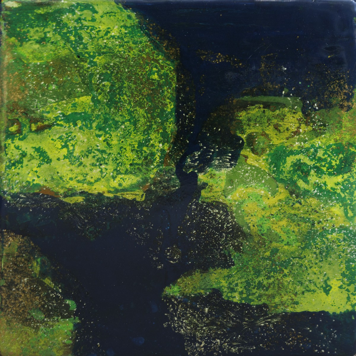 Géraldine Besnard, Mousse Végétale 2 - Série paysage de forêt Géraldine Besnard, Mousse Végétale 2 - Série paysage de forêt