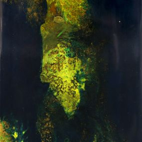 Peinture, Mousse Végétale 6 - Série paysage de forêt, Géraldine Besnard