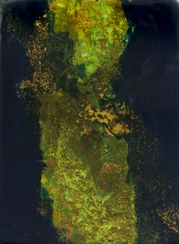 Painting, Mousse Végétale 5 - Série paysage de forêt, Géraldine Besnard