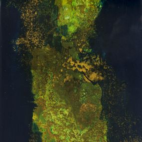 Pittura, Mousse Végétale 5 - Série paysage de forêt, Géraldine Besnard