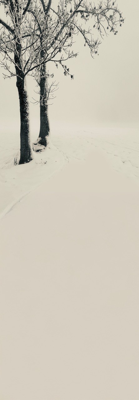Adrianna MJW, Photographie de Paysage Hivernal - Fuyu no Shi: Itareru H?y? : Poésie d’Hiver : Étreinte Givrée Adrianna MJW, Photographie de Paysage Hivernal - Fuyu no Shi: Itareru H?y? : Poésie d’Hiver : Étreinte Givrée