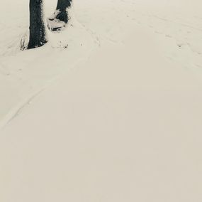 Photography, Photographie de Paysage Hivernal - Fuyu no Shi: Itareru H?y? : Poésie d’Hiver : Étreinte Givrée, Adrianna MJW