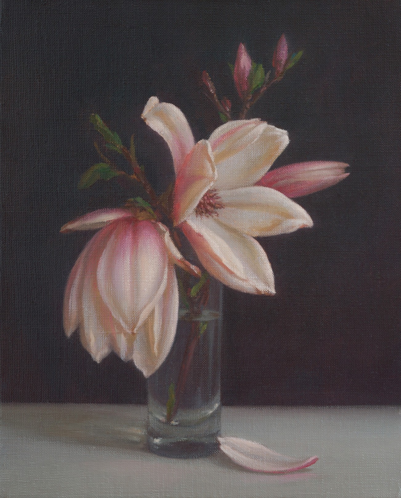 Irina Trushkova, Magnolia Irina Trushkova, Magnolia