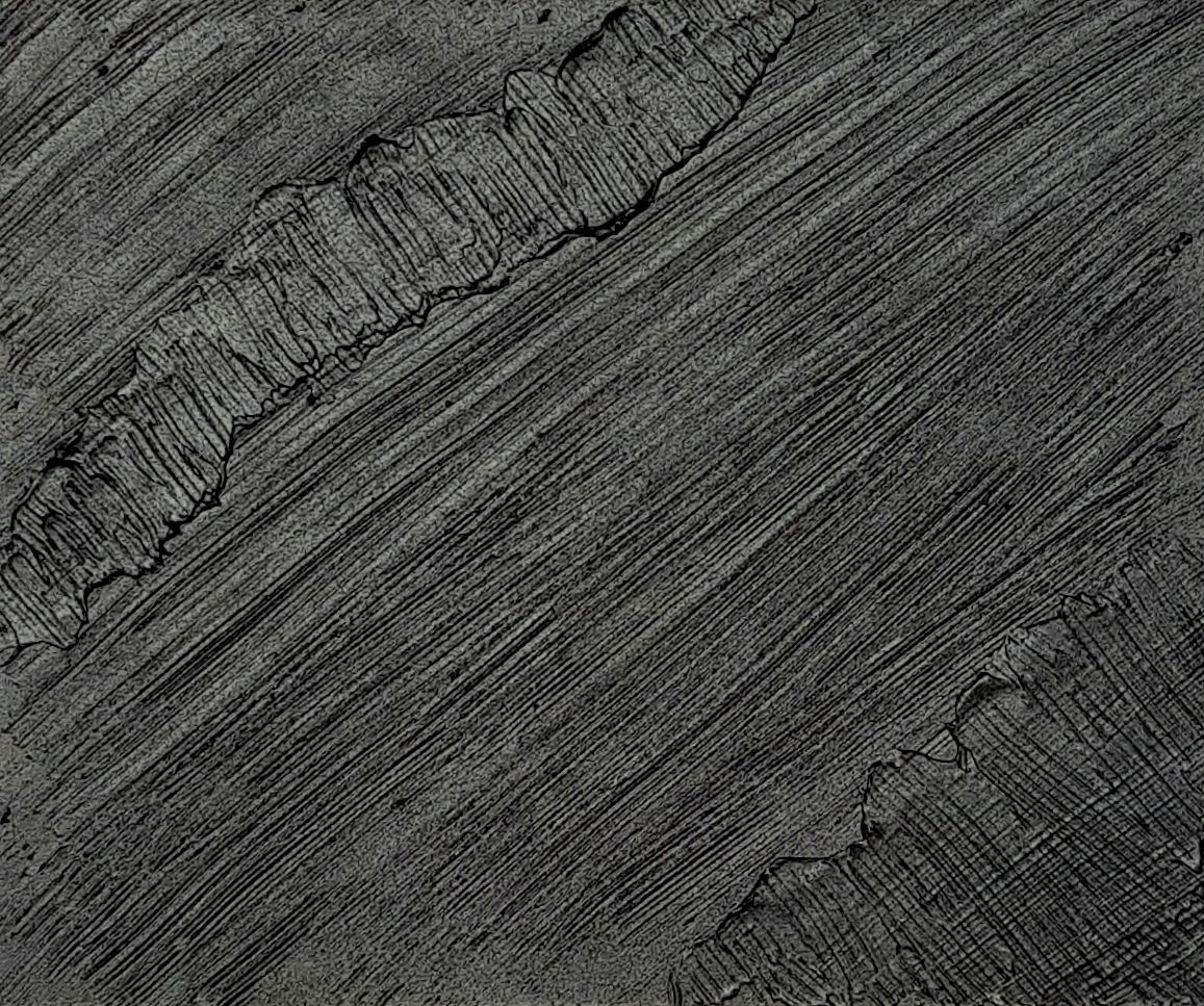 Sandrine Hartmann, Monochrome Sandrine Hartmann, Monochrome