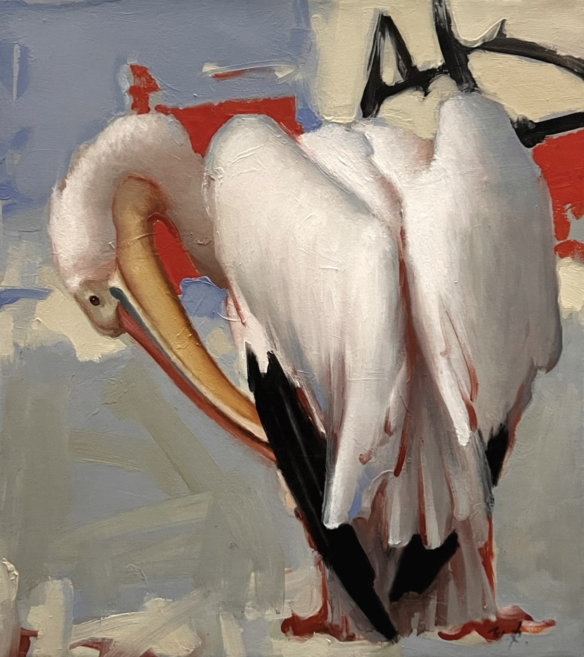 Michael Rapoport, A Pelican Michael Rapoport, A Pelican