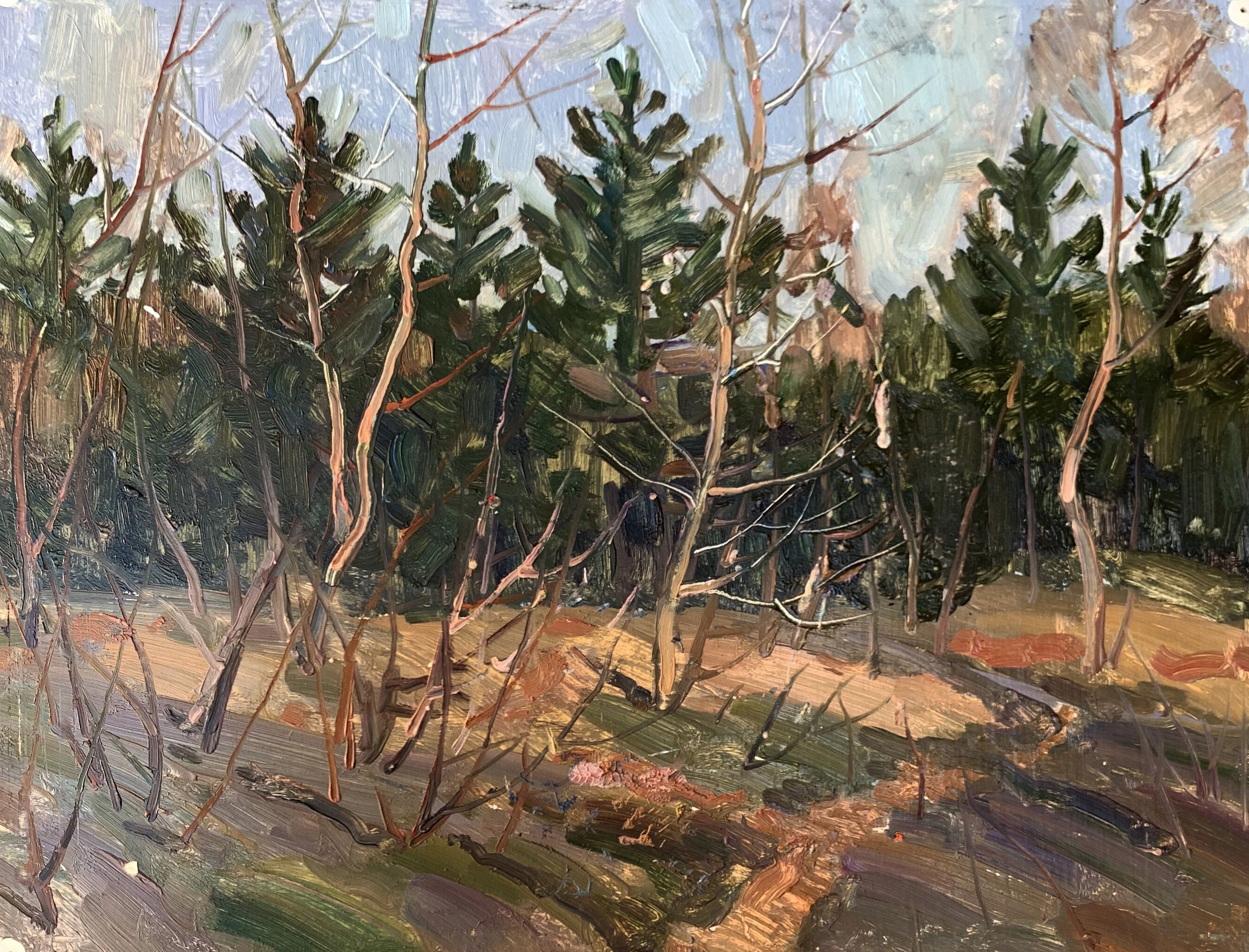Peter Tovpev, Walk through the forest Peter Tovpev, Walk through the forest