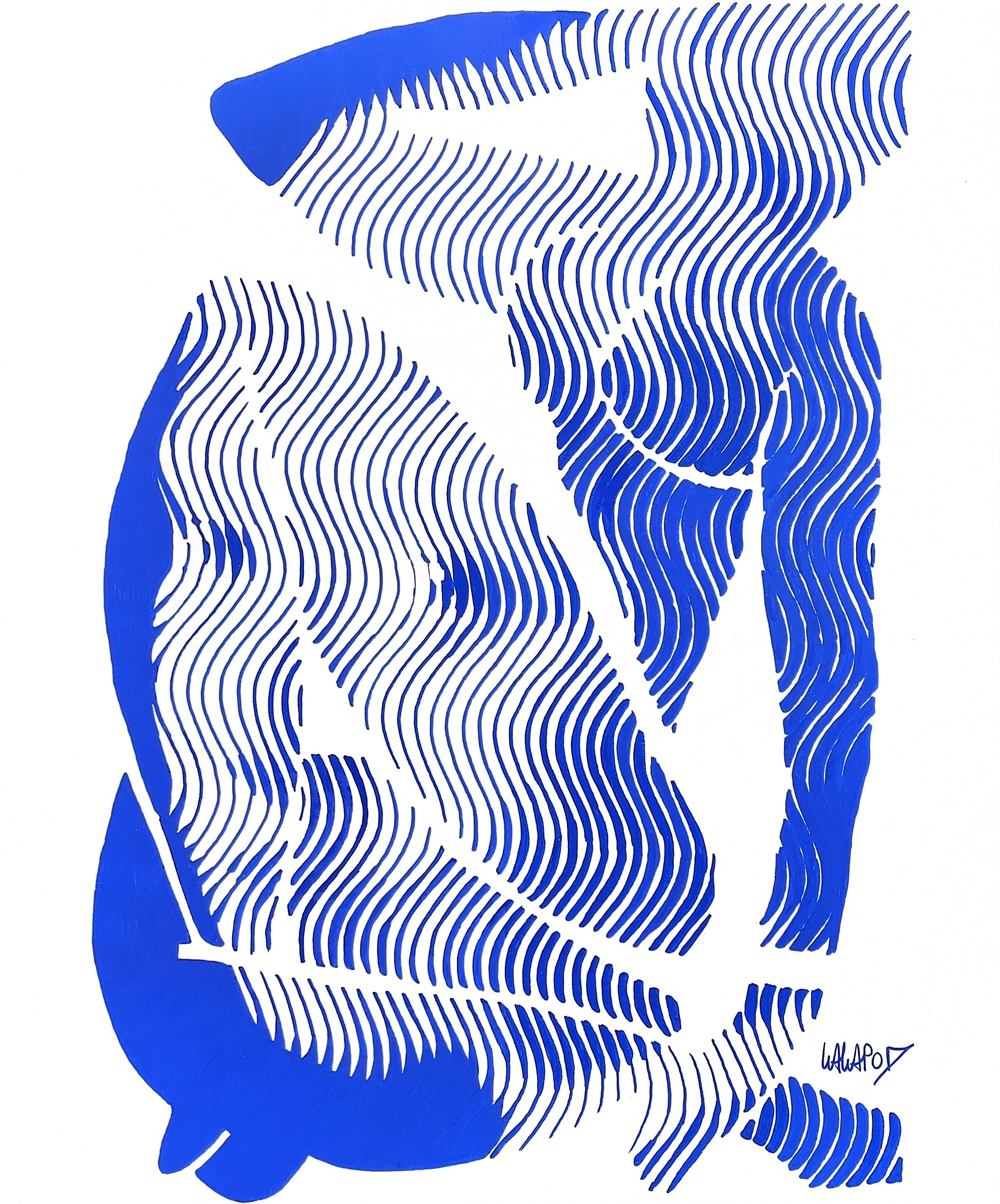 Wawapod, Vermeer Matisse Lines Wawapod, Vermeer Matisse Lines