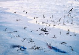 Photography, Flow pass04_4492, Yasuo Kiyonaga